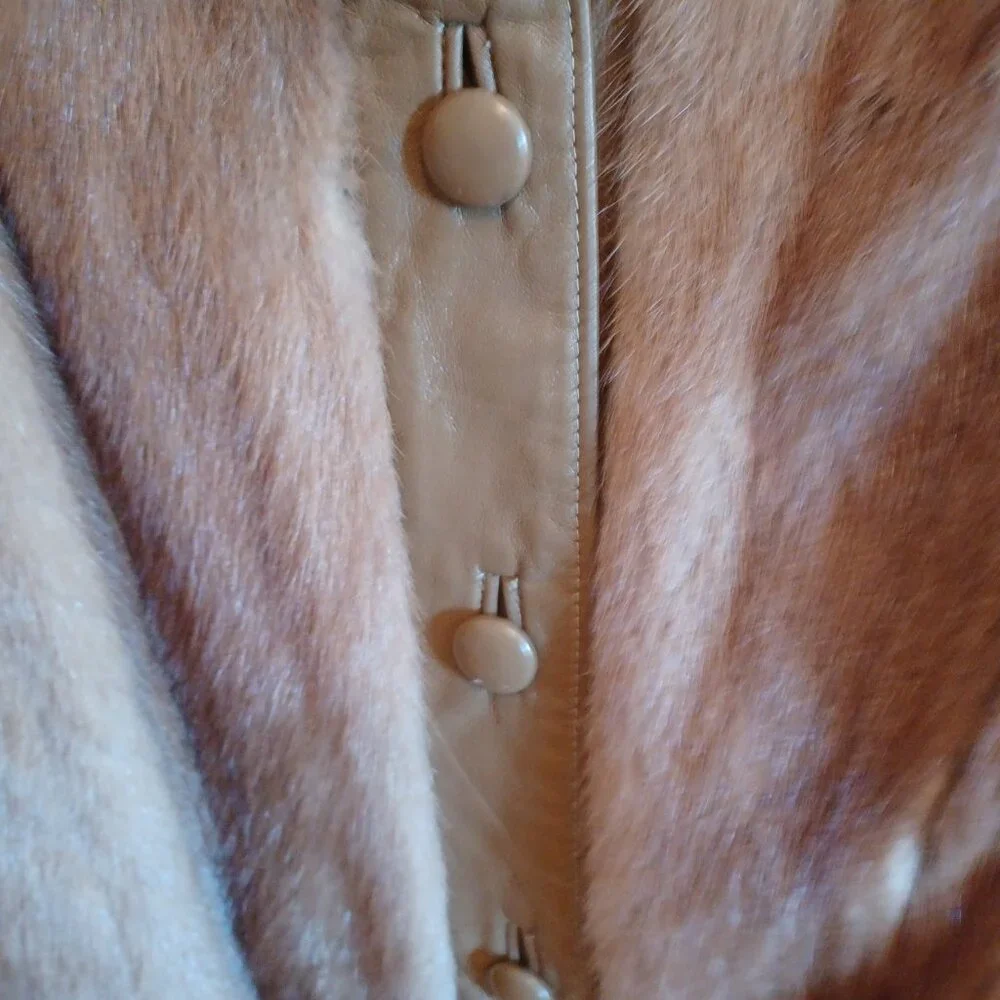 Jacket - Picture 3 of 6